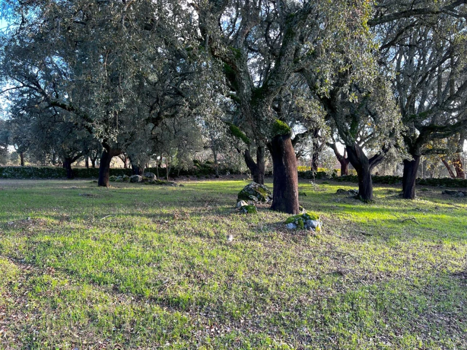 Quinta T3 para Venda em São Salvador da Aramenha Foto 39