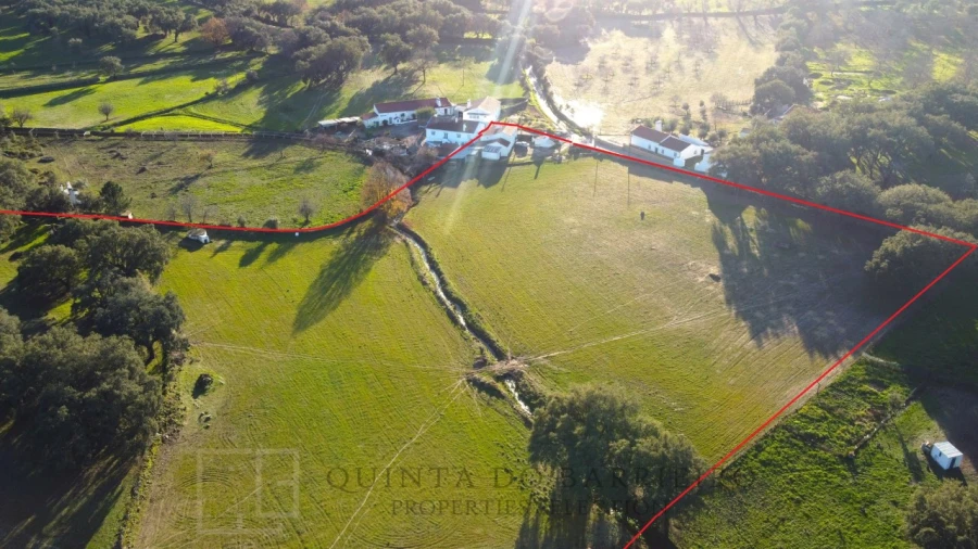 Quinta T3 para Venda em São Salvador da Aramenha