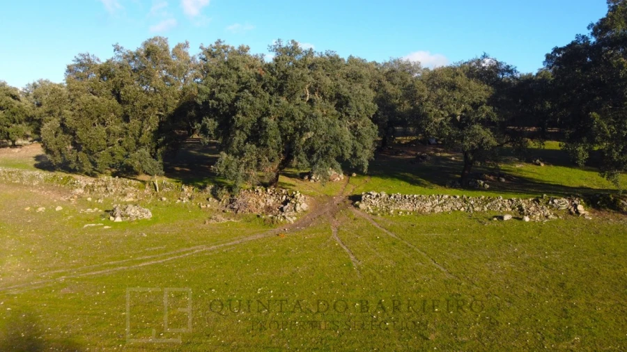 Quinta T3 para Venda em São Salvador da Aramenha Foto 40
