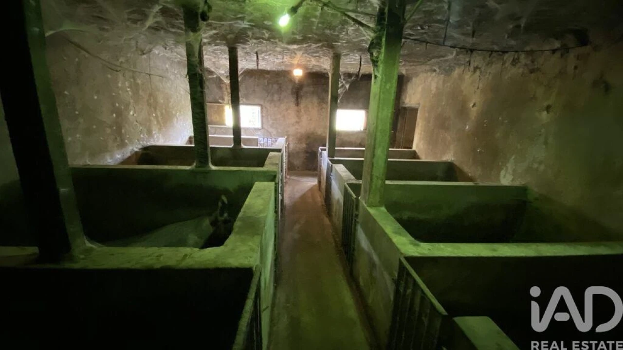 Moradia T8 para Venda em Santo Antonio da Serra Foto 19