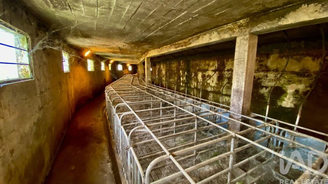 Moradia T8 para Venda em Santo Antonio da Serra Foto 20