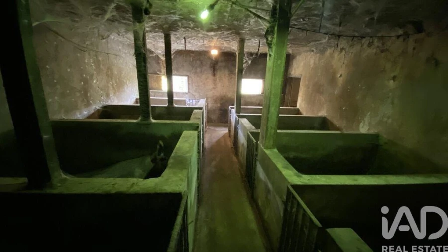 Moradia T8 para Venda em Santo Antonio da Serra Foto 19