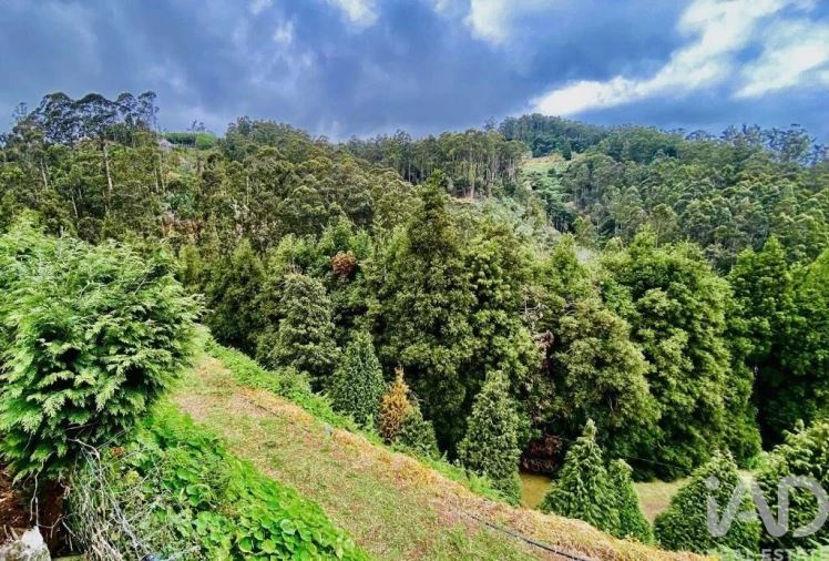 Moradia T8 para Venda em Santo Antonio da Serra Foto 21