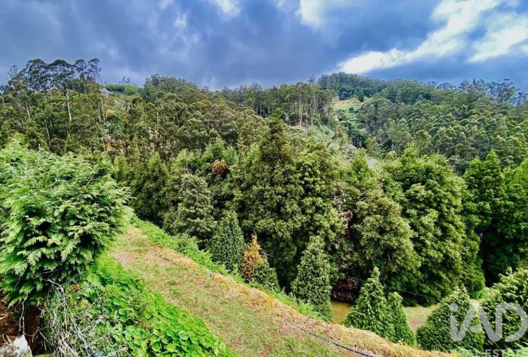 Moradia T8 para Venda em Santo Antonio da Serra Foto 21