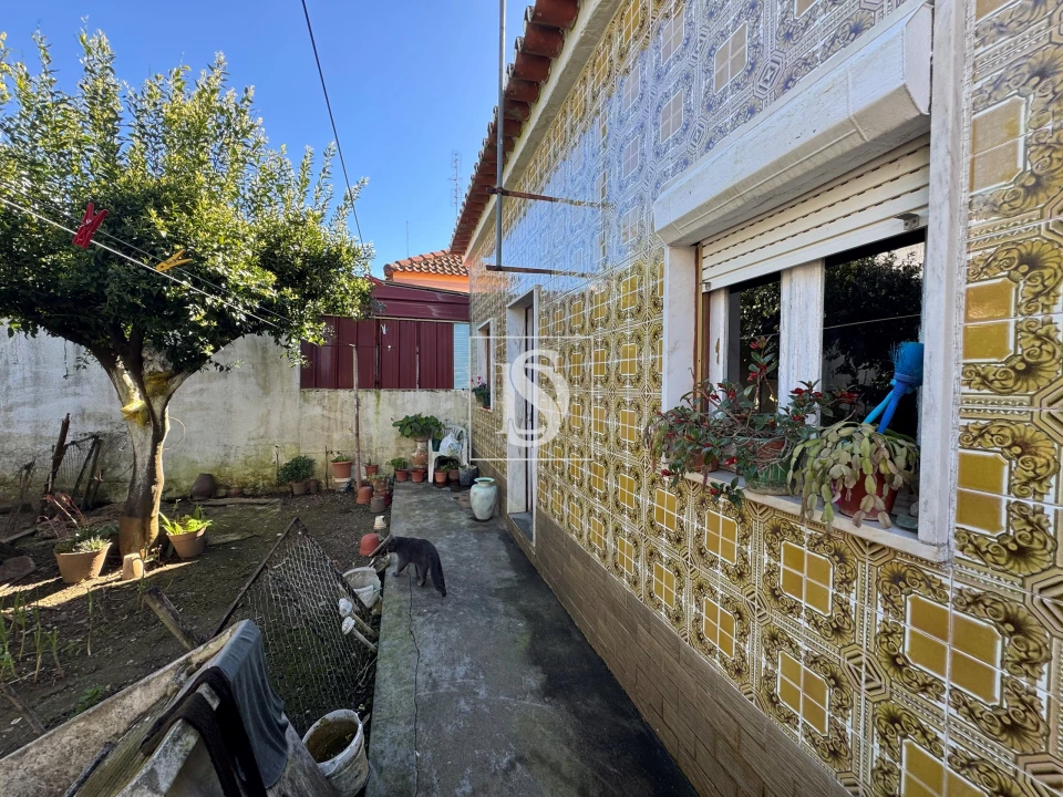 Moradia T4 para Venda em Avis Foto 9