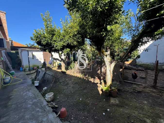 Moradia T4 para Venda em Avis Foto 8