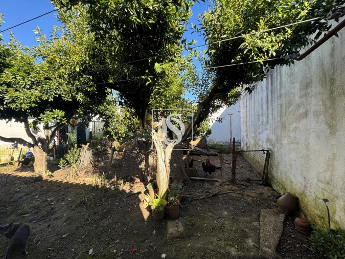 Moradia T4 para Venda em Avis Foto 7