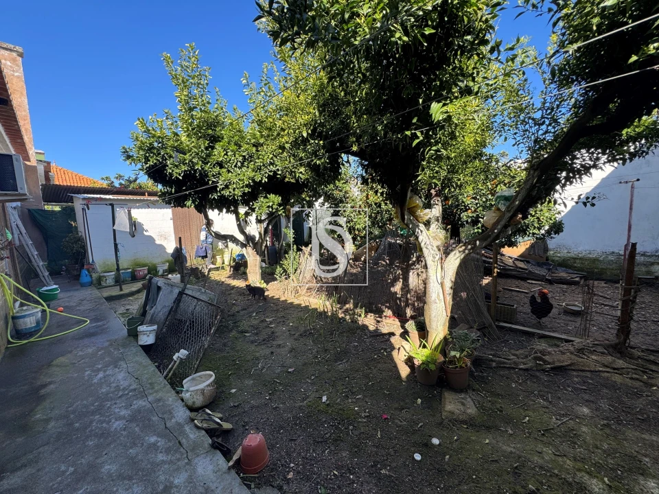 Moradia T4 para Venda em Avis Foto 8