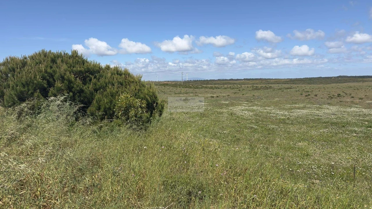 Terreno para Venda em Vila do Bispo e Raposeira Foto 5