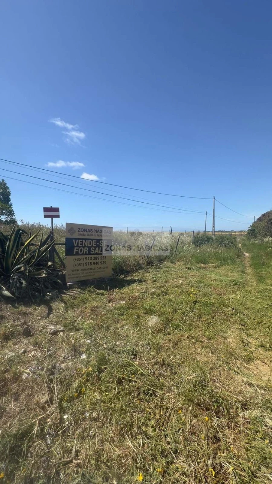 Terreno para Venda em Vila do Bispo e Raposeira Foto 3