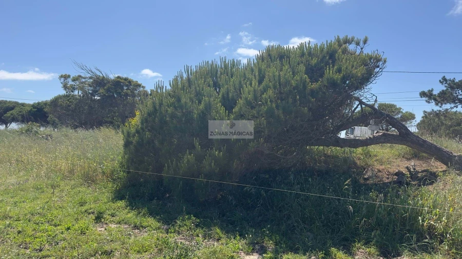 Terreno para Venda em Vila do Bispo e Raposeira Foto 7