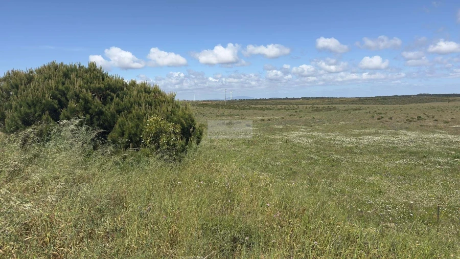 Terreno para Venda em Vila do Bispo e Raposeira Foto 5
