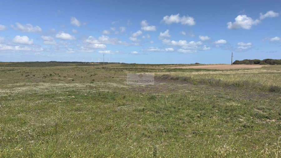 Terreno para Venda em Vila do Bispo e Raposeira