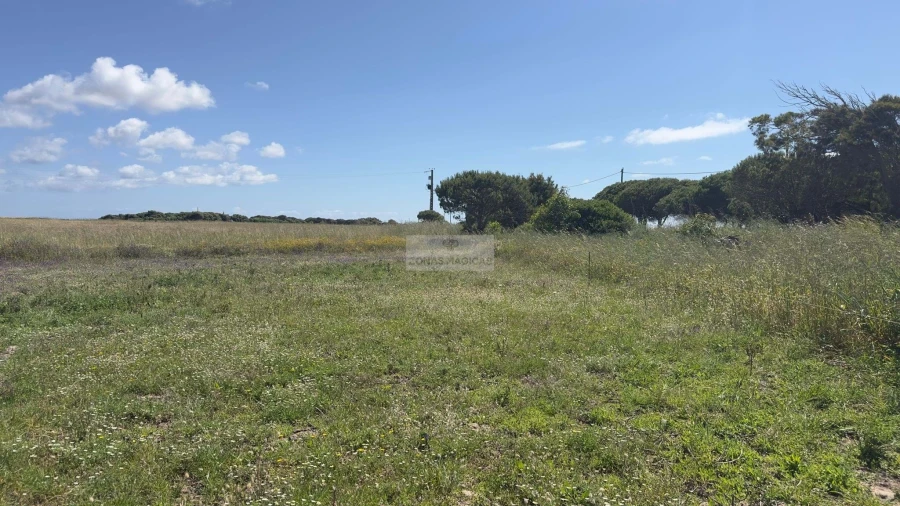 Terreno para Venda em Vila do Bispo e Raposeira Foto 8