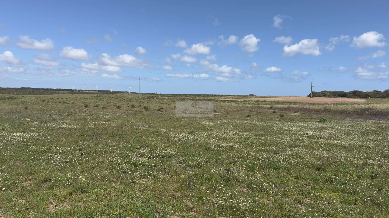 Terreno para Venda em Vila do Bispo e Raposeira Foto 6
