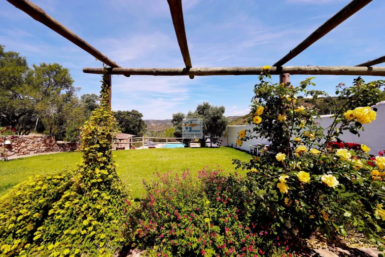 Quinta T3 para Venda em São Bartolomeu de Messines Foto 42