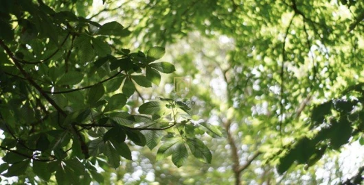 Moradia T3 para Venda em Arcozelo