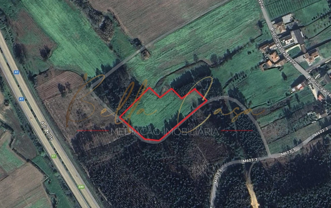 Terreno Agricola ou Rústico para Venda em Oliveira do Bairro Foto 13