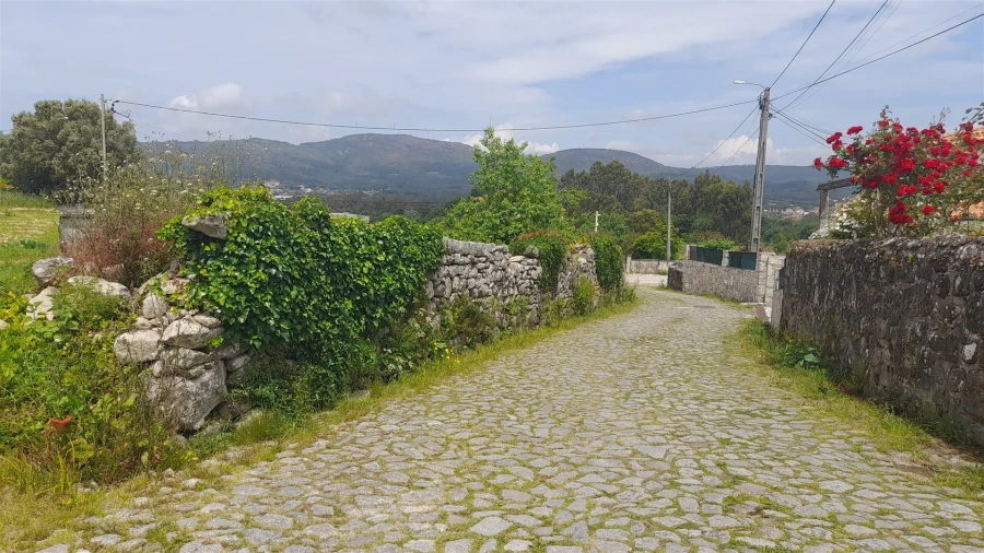 Terreno para Venda em Ancora Foto 6