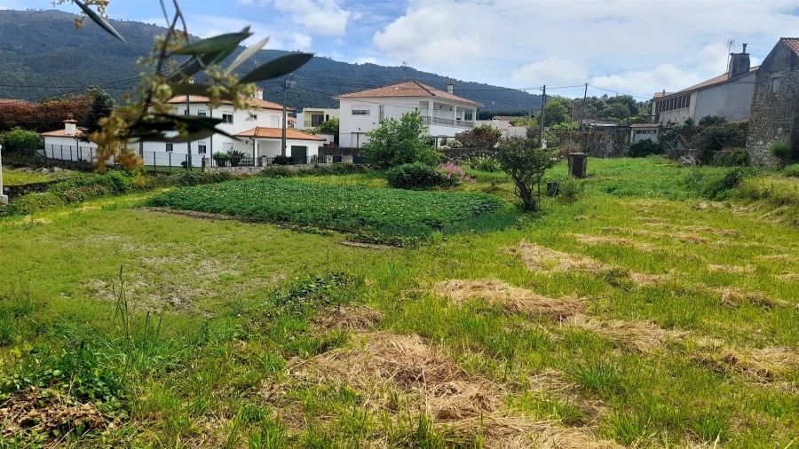 Terreno para Venda em Ancora