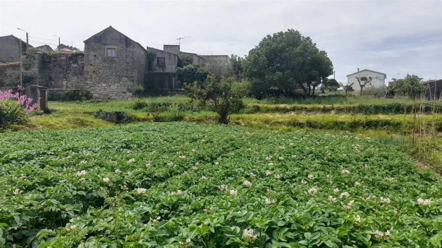 Terreno para Venda em Ancora Foto 14