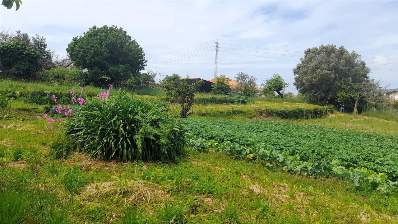 Terreno para Venda em Ancora Foto 13
