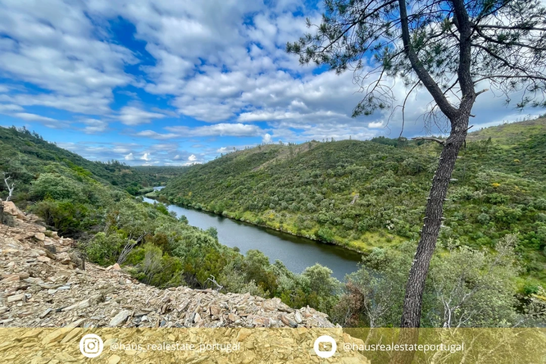 Terreno Agricola ou Rústico para Venda em Sarzedas Foto 1