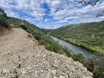 Terreno Agricola ou Rústico para Venda em Sarzedas