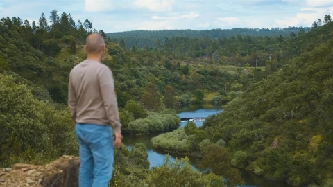 Terreno Agricola ou Rústico para Venda em Sarzedas
