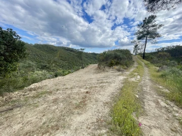 Terreno Agricola ou Rústico para Venda em Sarzedas