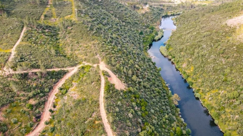 Terreno Agricola ou Rústico para Venda em Sarzedas