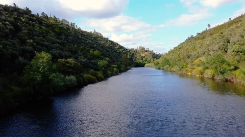Terreno Agricola ou Rústico para Venda em Sarzedas