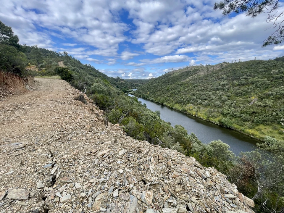 Terreno Agricola ou Rústico para Venda em Sarzedas Foto 9