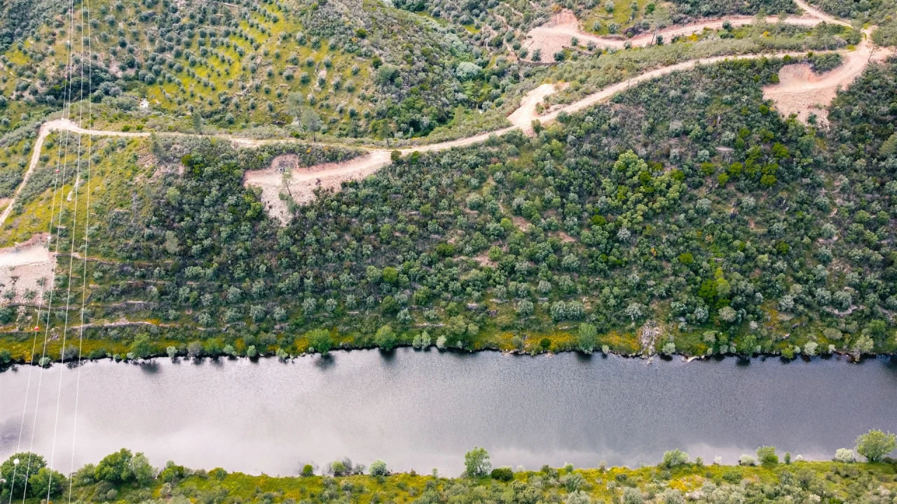 Terreno Agricola ou Rústico para Venda em Sarzedas Foto 3