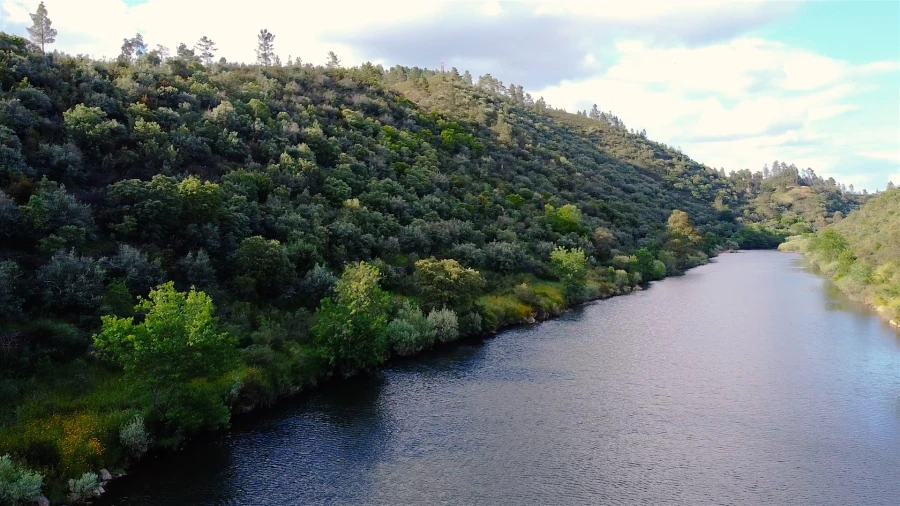 Terreno Agricola ou Rústico para Venda em Sarzedas Foto 7