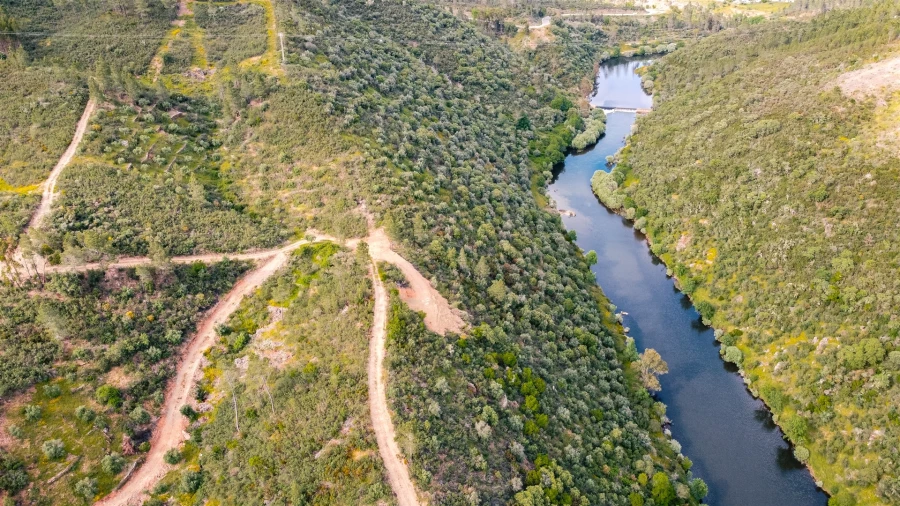Terreno Agricola ou Rústico para Venda em Sarzedas Foto 2