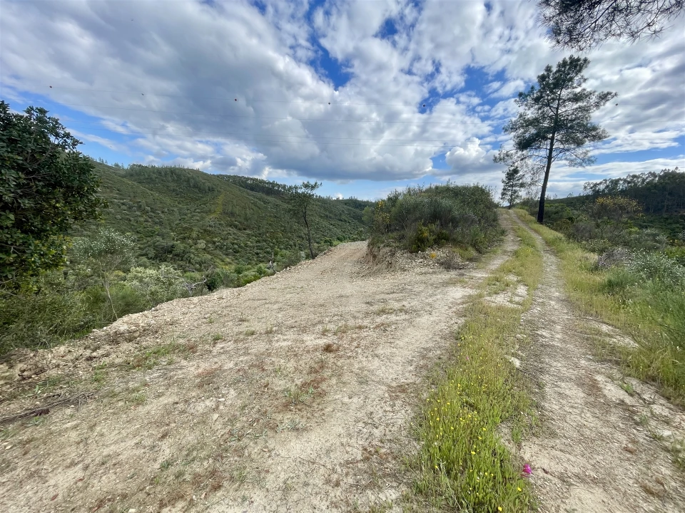 Terreno Agricola ou Rústico para Venda em Sarzedas Foto 11