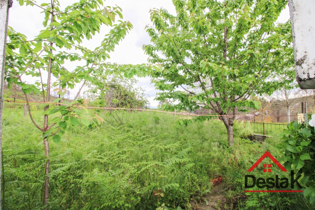 Moradia T5 para Venda em Sul Foto 23