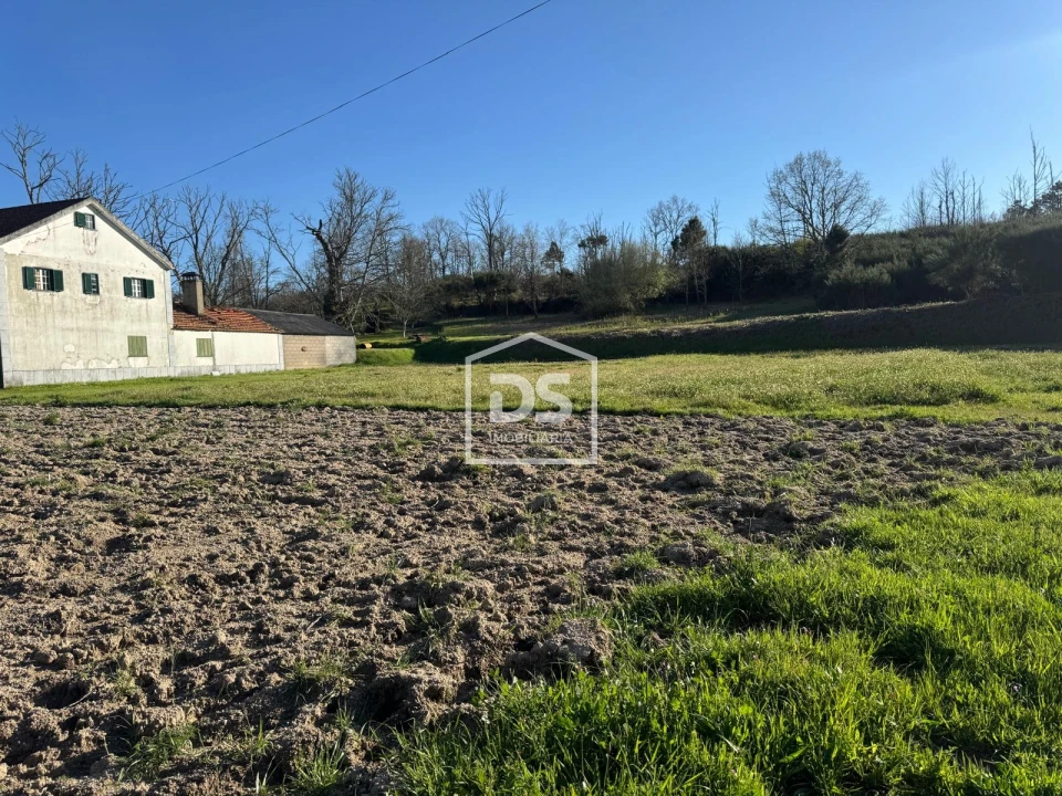 Terreno Agricola ou Rústico para Venda em Panoias de Cima Foto 12