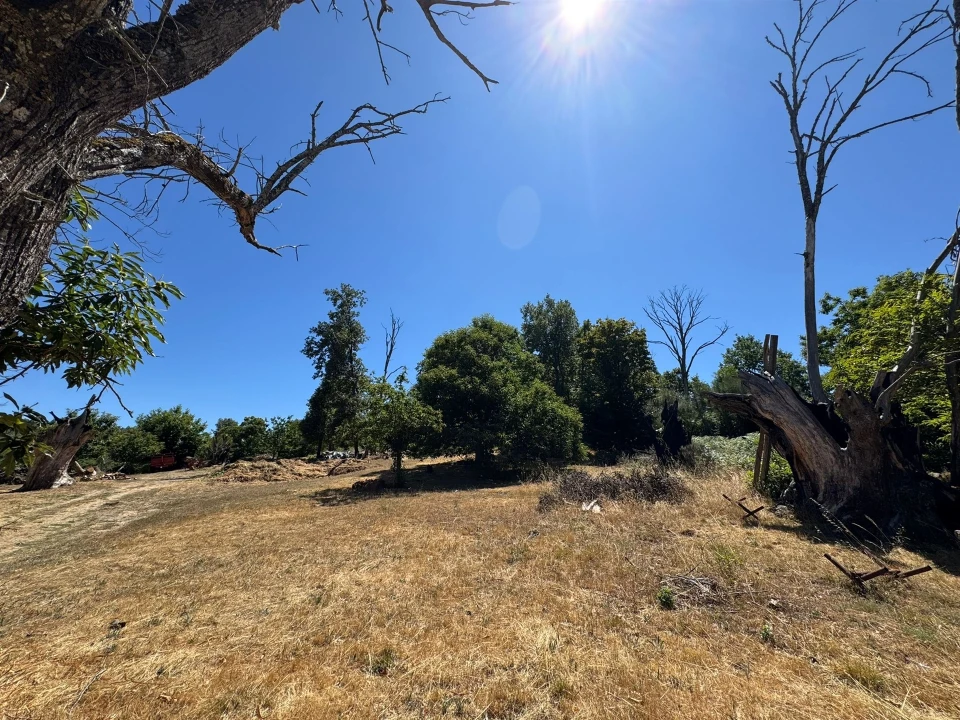 Terreno Agricola ou Rústico para Venda em Panoias de Cima Foto 30