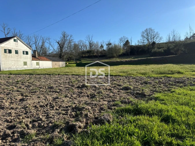 Terreno Agricola ou Rústico para Venda em Panoias de Cima Foto 12