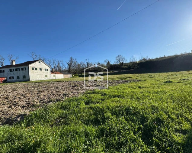 Terreno Agricola ou Rústico para Venda em Panoias de Cima Foto 9