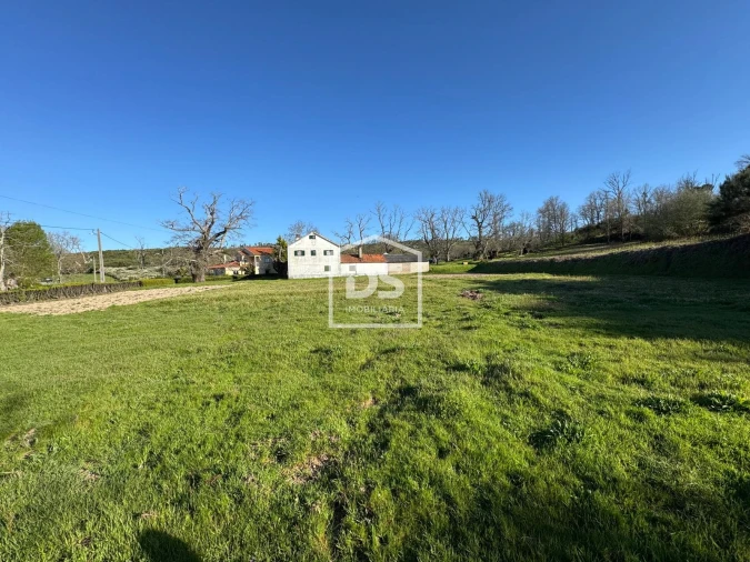 Terreno Agricola ou Rústico para Venda em Panoias de Cima Foto 8