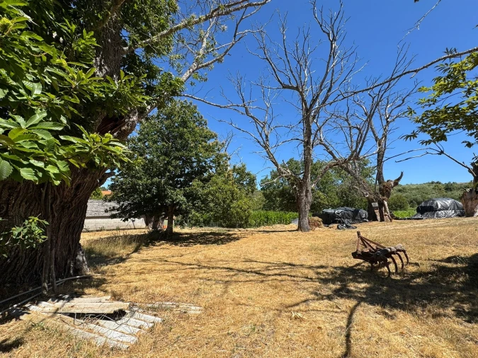 Terreno Agricola ou Rústico para Venda em Panoias de Cima Foto 29