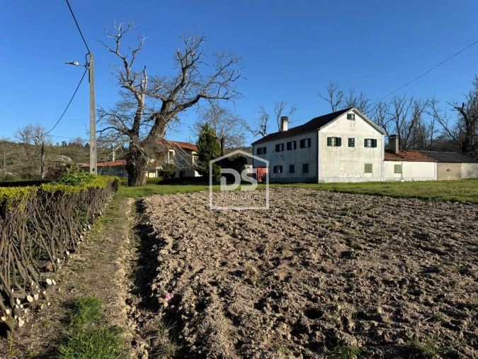 Terreno Agricola ou Rústico para Venda em Panoias de Cima Foto 11