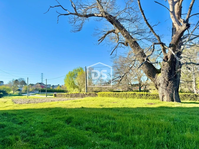 Terreno Agricola ou Rústico para Venda em Panoias de Cima Foto 24