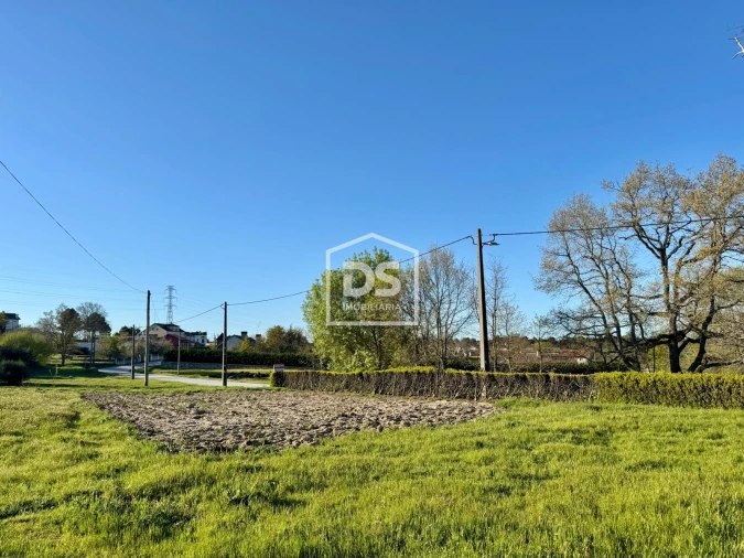 Terreno Agricola ou Rústico para Venda em Panoias de Cima Foto 25