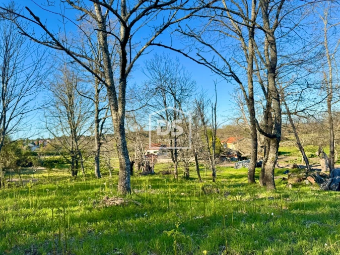 Terreno Agricola ou Rústico para Venda em Panoias de Cima Foto 20