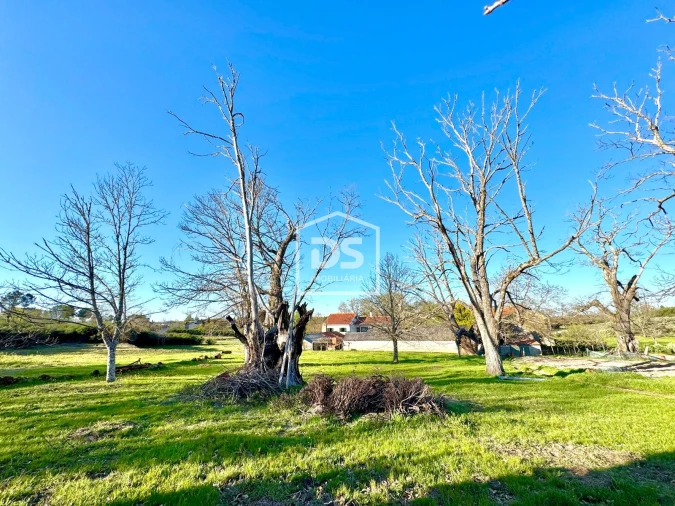 Terreno Agricola ou Rústico para Venda em Panoias de Cima Foto 19