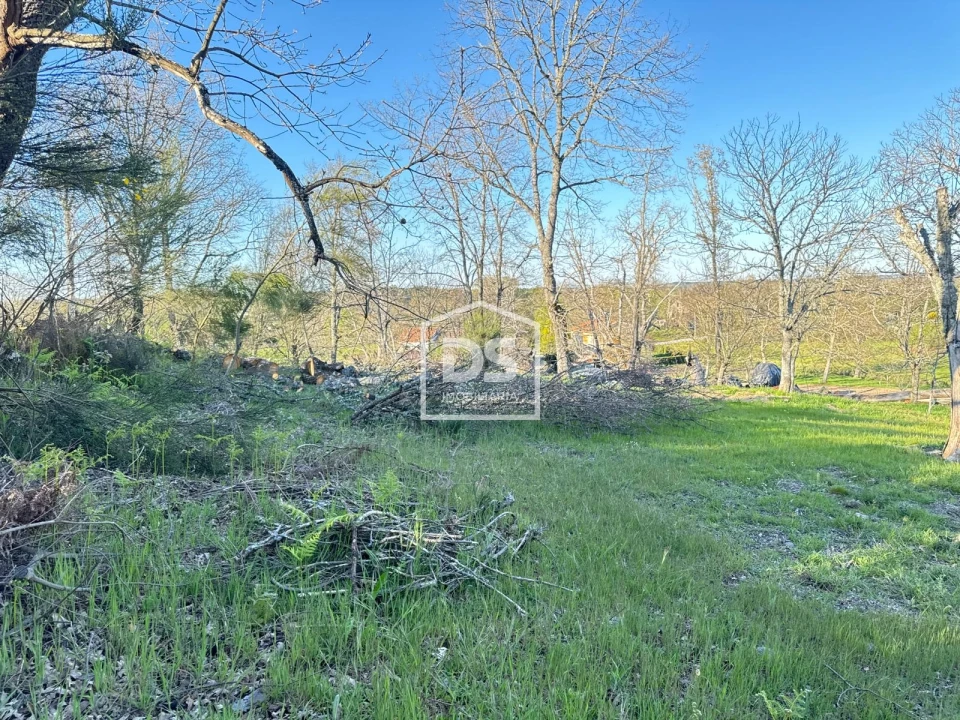 Terreno Agricola ou Rústico para Venda em Panoias de Cima Foto 21
